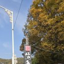 삼동소바 안양평촌점 이미지