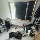 롯데리아평택포승점 이미지