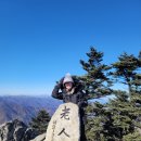 진고개화장실 | 오대산 노인봉 최단코스 진고개 출발지 (ft.해발 1,338m를 날로 먹는법)