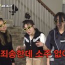 성일호