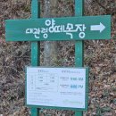 상봉목장 | 가볼만한 곳] 아이와 겨울 여행 추천! 대관령 양떼목장 아기양 보고, 양 먹이주기 체험까지!🐑 (feat...