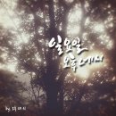 오후의 햇살