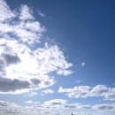 돌섬수산 이미지