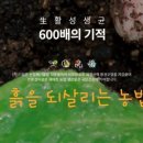 천풍농장 이미지