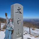 태백산 공원휴게소 이미지