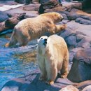 부자농장Ⅲ 이미지