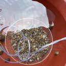 입파민박 이미지