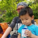 금실어린이공원 이미지