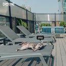 뷰티펫동물병원 이미지