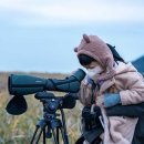 두루미네 이미지