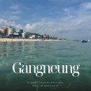 바위섬 | 강릉 사천진해변 바위섬 6시간 스노쿨링 명소 포인트 후기(파라솔 샤워장 주차)