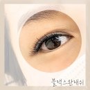 블랙스완 래쉬 네이버블로그
