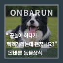 본바른 동물의료센터 이미지