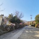 강화랜드부동산공인중개사사무소 이미지