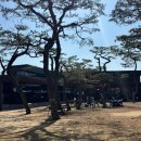 내돈내산:) 춘천 소울로스터리 카페 바뀐거 나만 몰랐어??🪵🪵