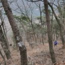 한치도로변 이미지