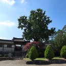 백일헌영당 이미지