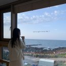 제주올레로STAR민박 | 제주공항 오션뷰 숙소 제주올레로펜션 솔직상세후기