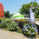 [동구 두 번째 학교_무료강좌] 가베교실 | 울산 장생포 고래문화마을 대왕암공원 출렁다리 신촌닭칼국수 코스 추천