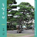 솔빛공원 2 이미지