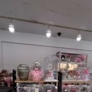 1004플라워 이미지