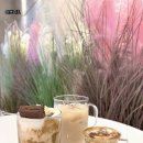 아브니르 이미지