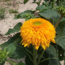 강남연세행정사사무소 이미지