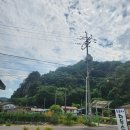 도로시민박 이미지