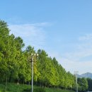 국궁장(신도정) 이미지