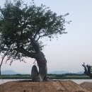 낙동강변18 이미지