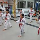 용인대한울태권도 이미지