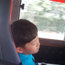 새미래 소나무향기태권도 이미지