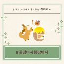 꿀강아지 이미지