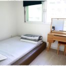 멍스타애견 이미지