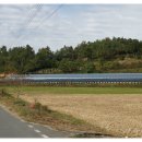 정남진농장 이미지