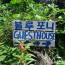 블루포니 게스트하우스 | [제주도여행/여자혼자/3박4일/2일차] 더 블루포니 게스트하우스, 서귀포 게스트하우스, 호텔스닷컴