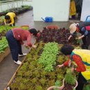 기로경로당 이미지