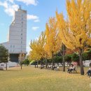 국립한국교통대학교 대학원 이미지