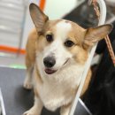 멍클스튜디오 이미지