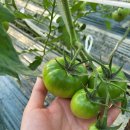 햇살그린농장 이미지