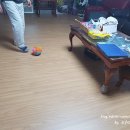 도그 앤 캣츠 이미지