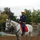 카우보이 이미지