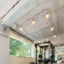 바디피티 이미지