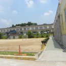 수촌초등학교 이미지