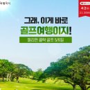 알파골프 이미지