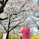 논개골 낭만 벚꽃축제 | 2026 영등포 여의도 봄꽃축제(벚꽃축제) 마지막날 후기, 버스킹과 먹거리까지