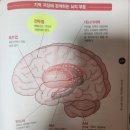 시네미장원