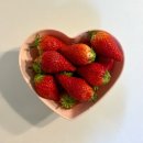 밥에김가담 | 개강한여자