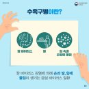 베베엔젤어린이집 이미지