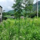 달천펜션 이미지